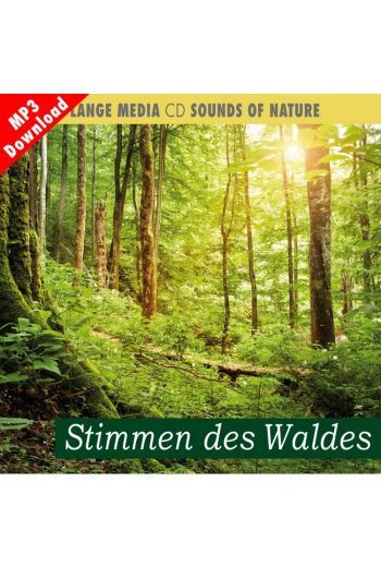 Naturgeräusche – Stimmen des Waldes (MP3)