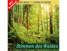 Naturgeräusche – Stimmen des Waldes (MP3)